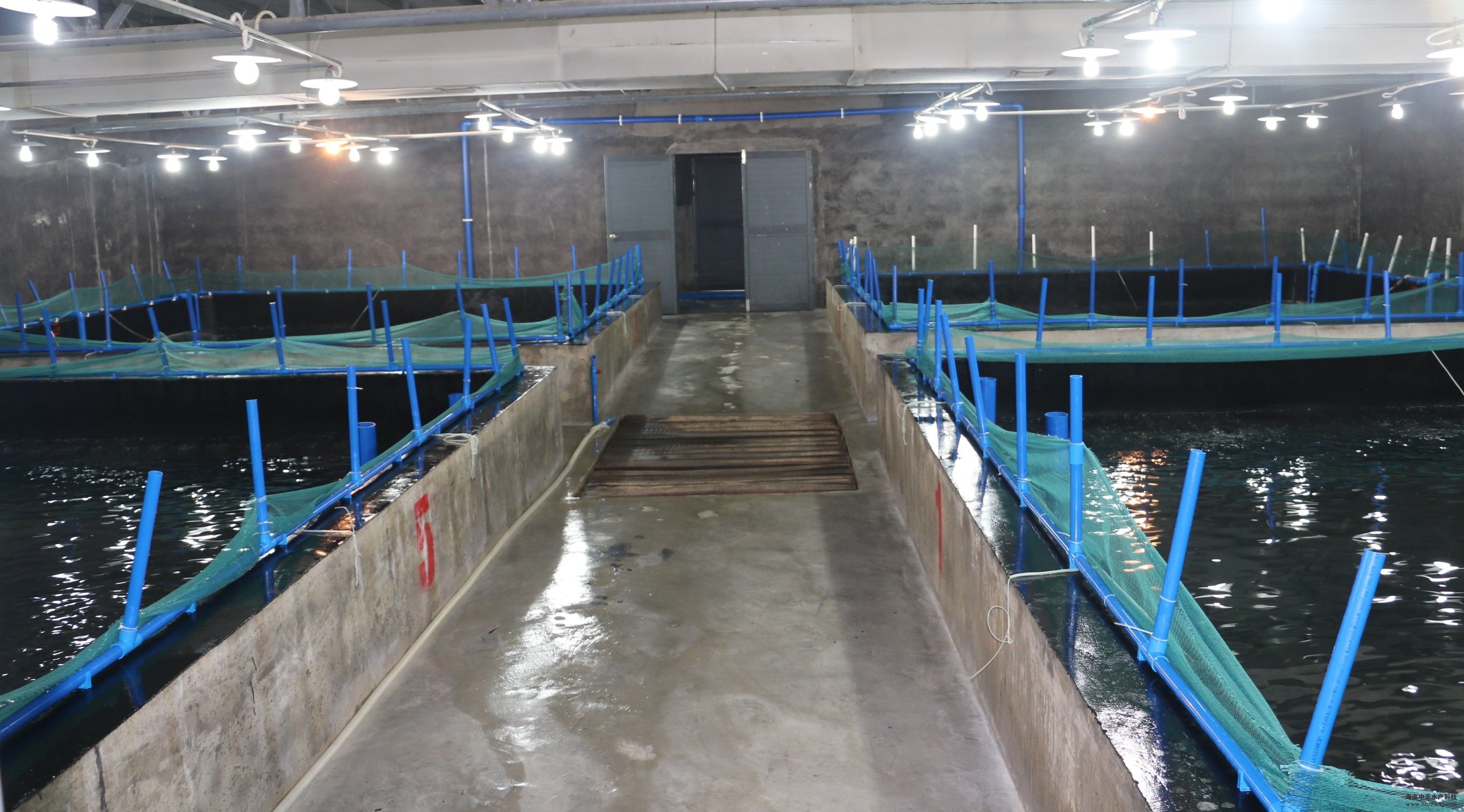 �˜ʻ�ĸ�r܇�g